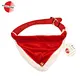 red dog collar with bones